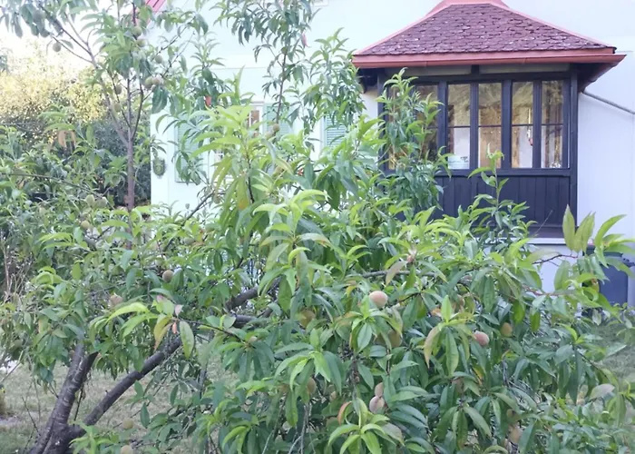 شقة Haus Claudia *